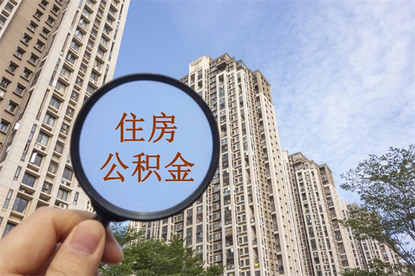 南城怎么取住房住房公积金（取住房公积金方法）